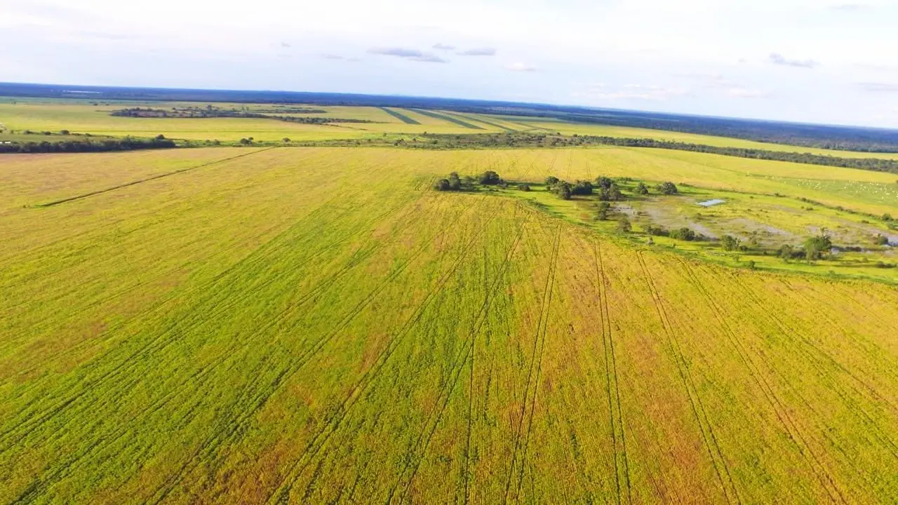 Vista aérea da fazenda