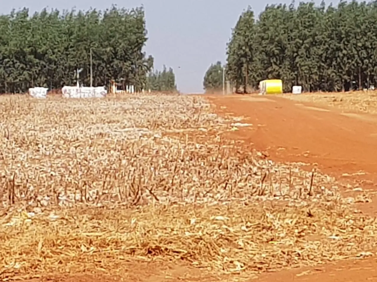 Solo e potencial produtivo da fazenda em Porto Alegre do Norte MT